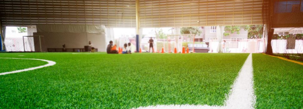 Spadafora e la riforma dello sport: «Sono emersi problemi che ci sono da sempre»