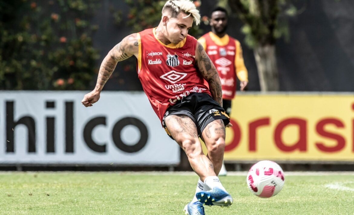 Marcos Leonardo Marcos Leonardo