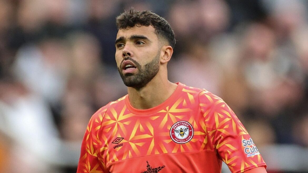 david raya david raya